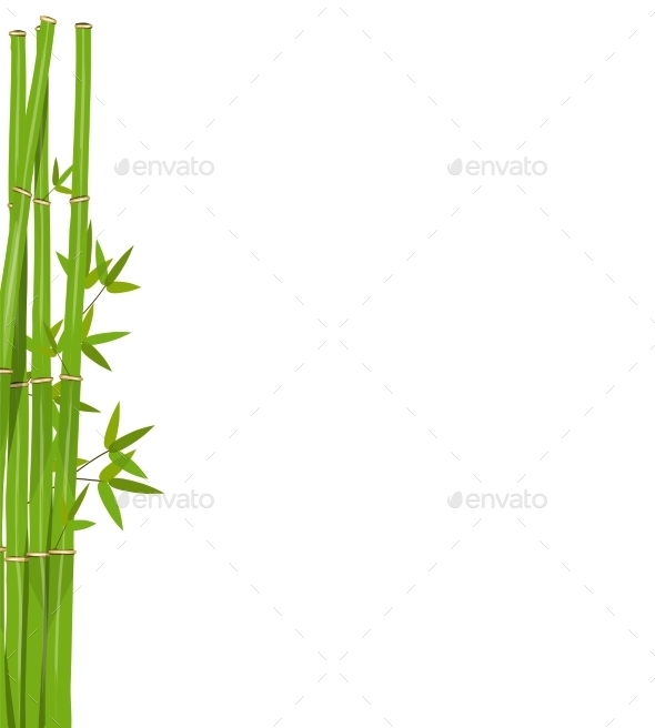 Colorful Stems and Bamboo Leaves - Backgrounds Decorative