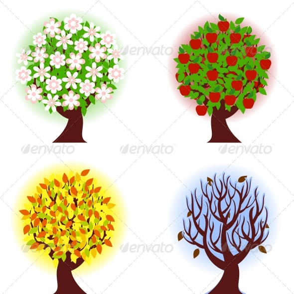 Four seasons of apple tree. - Seasons/Holidays Conceptual