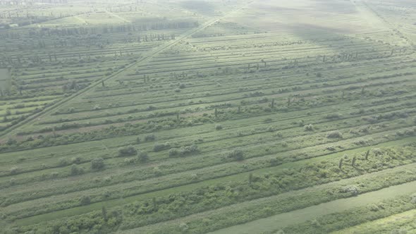 Aerial drone view flight over different agricultural fields sown in Samegrelo, Georgia alt