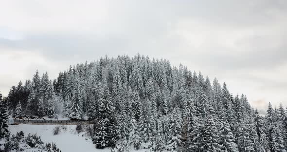 Static Shot Snow Trees Mountain Daylight Clouds - Cheile Gradistei, Fundata, Romania alt