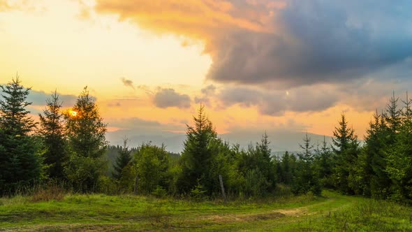 The Mountain Forest on Background of Sunset alt