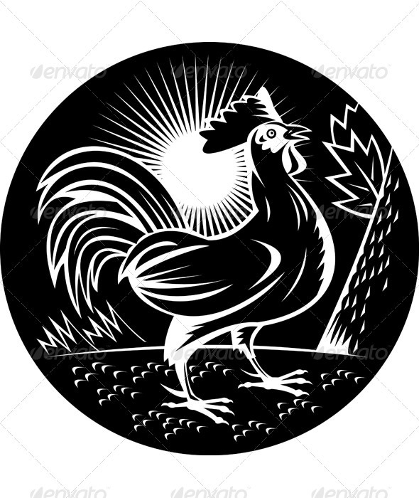 Rooster Cockerel Cock Crowing Woodcut Style