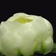 Time-lapse of opening white peony flower - VideoHive Item for Sale