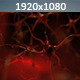 Neurons - VideoHive Item for Sale