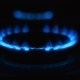 Gas Stove With Flames Over It - On Black - VideoHive Item for Sale