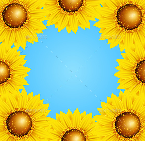 Floral Frame with Sunflowers - Flowers & Plants Nature