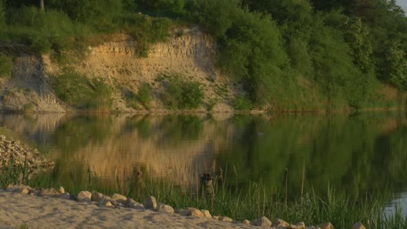 Pond River Lake Beach Rippling Water Trees` Pond River Lake Beach Rippling Water Trees`