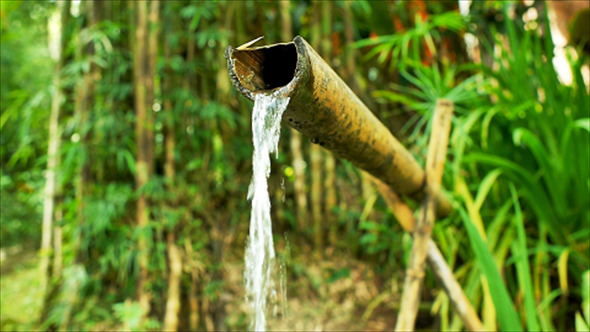 Bamboo Water Feature 11 Bamboo Water Feature 11