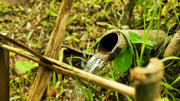 Bamboo Water Feature 04 alt