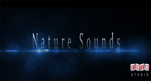 Nature Sounds
