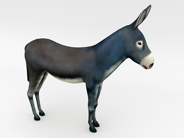 Donkey - 3Docean 12183058