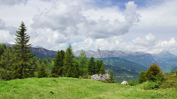 Summer In Alps