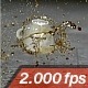 Cup Of Coffee Is Busting On The Pavement - VideoHive Item for Sale