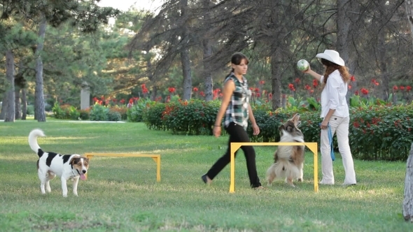 Two Girls With Dogs alt