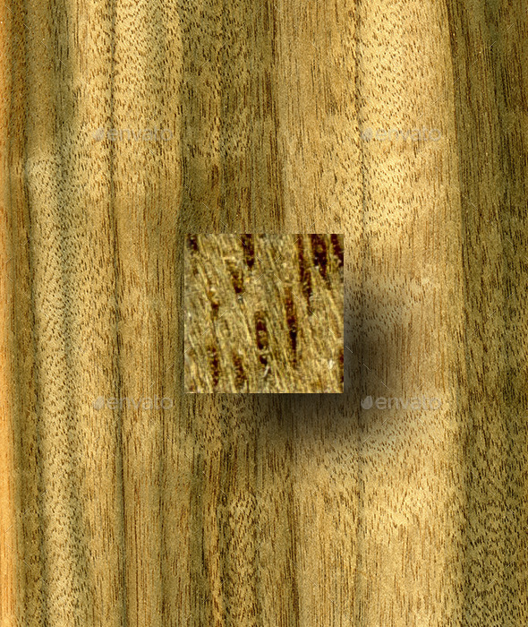 Australian Walnut Wood Texture - Wood Textures