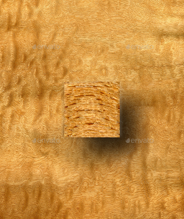 Pommele Sapele Wood Texture - Wood Textures