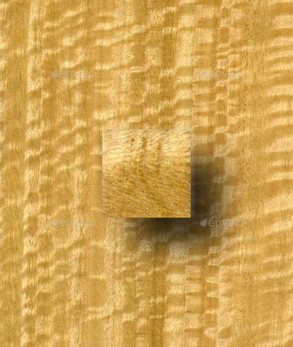 Figured Eucalyptus Wood Texture - Wood Textures