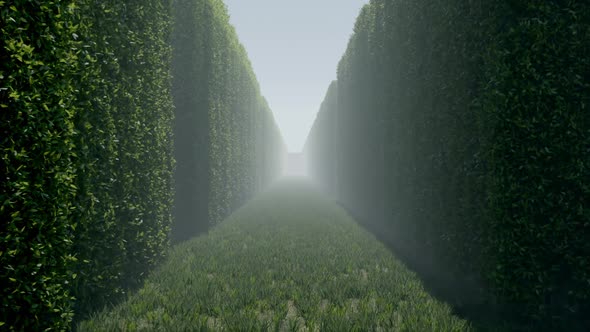 Labyrinth Corridor