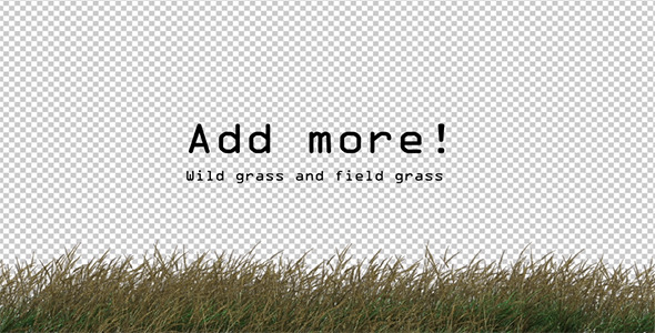 Grass Blowing Gently Grass Blowing Gently