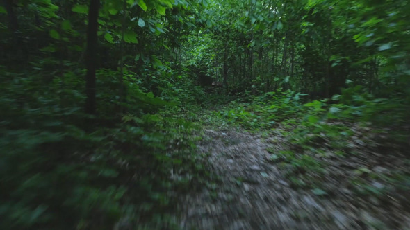 Running Away on Hiking Trail Running Away on Hiking Trail