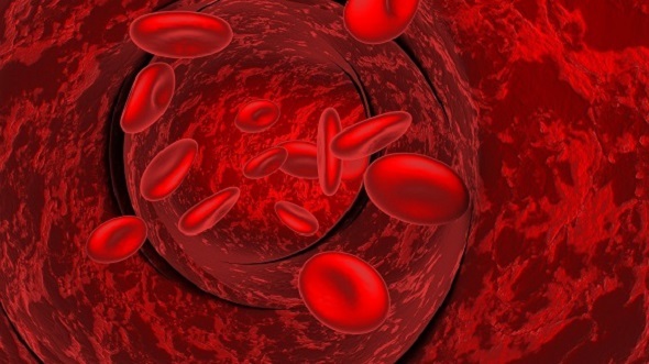 Blood cells in - 3Docean 12210832