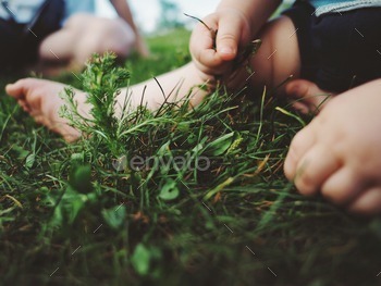 toddlers hands feeling grass