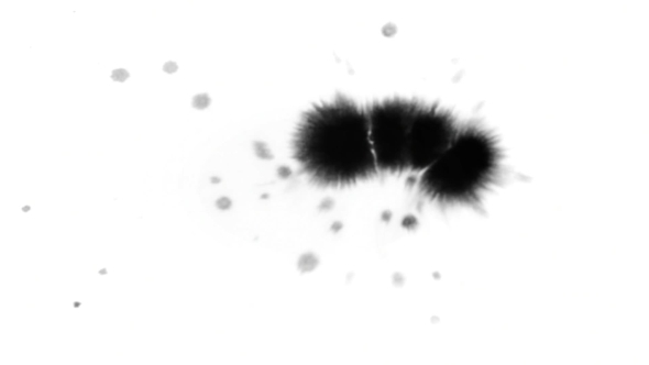 Ink Splodges On a White Paper Ink Splodges On a White Paper