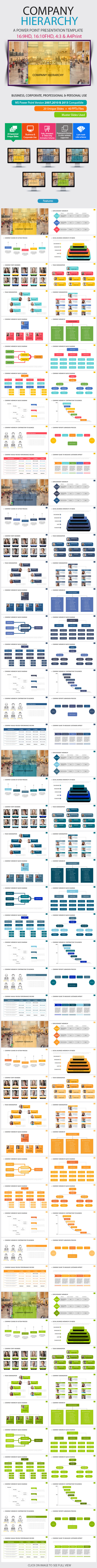 Company Hierarchy Power Point Presentation - Business PowerPoint Templates