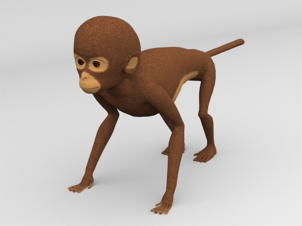 Monkey - 3Docean 12231972