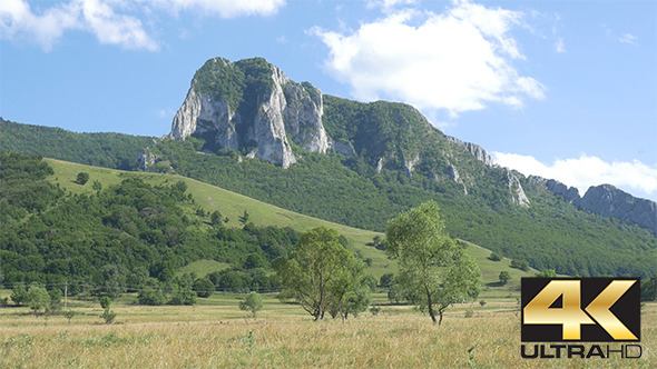 Mountain and Meadow in Summer Mountain and Meadow in Summer