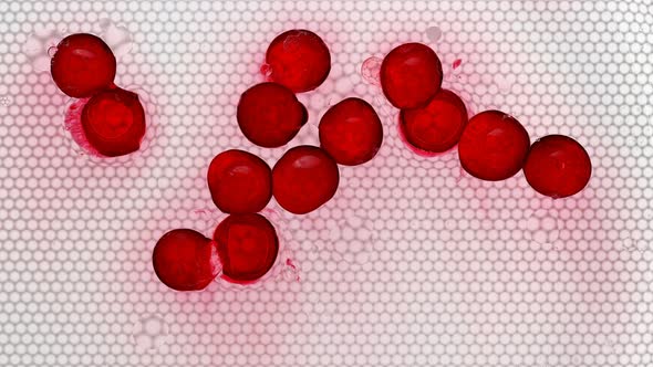 Many Red Pills Vitamins Dissolve in Water alt