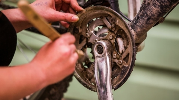 Young Girl Cleaning Bicycle Chainring With Brush