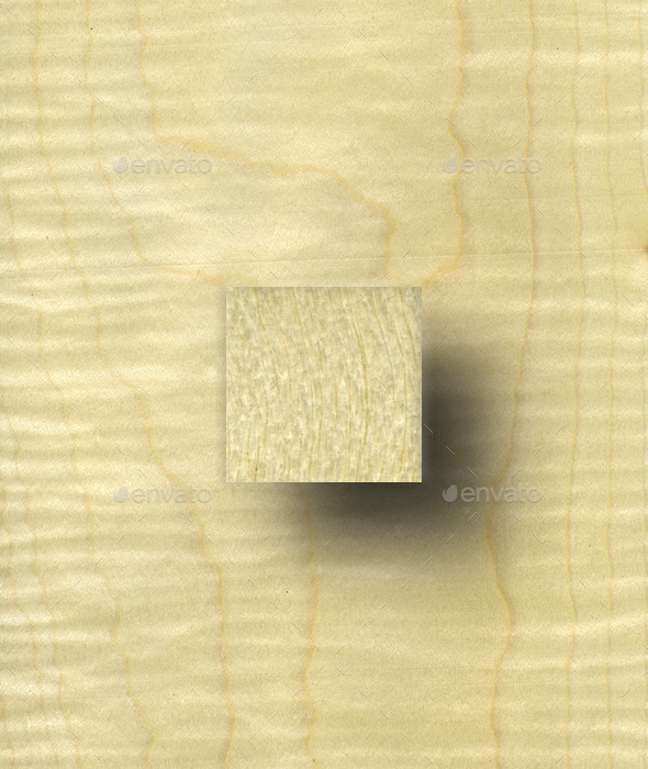 Figured Sycamore Wood Texture - Wood Textures