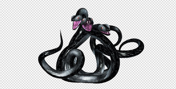 Serpent Tangle Three Black Snakes Serpent Tangle Three Black Snakes
