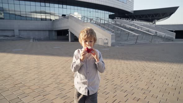 Cute Schoolboy Eating Apple Outdoors the School alt