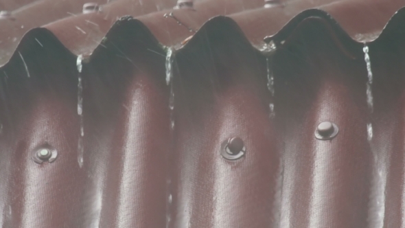 Heavy Summer Rain alt