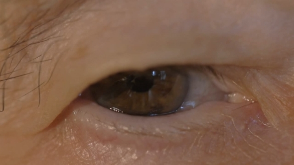 Eye Of An Elderly Woman Eye Of An Elderly Woman