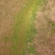 Flight In Field Camera Tilt Up - VideoHive Item for Sale