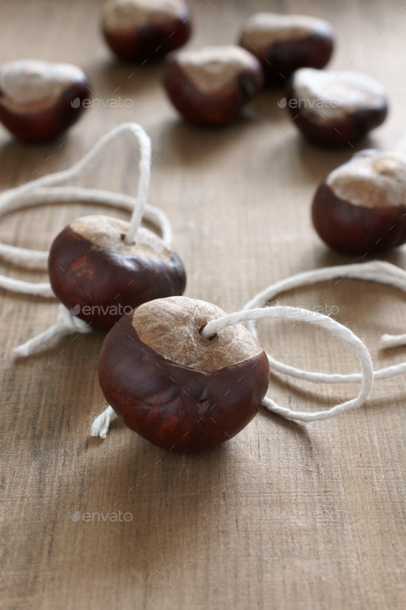 Conkers Game - Stock Photo - Images
