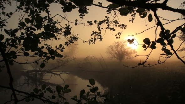 Morning Coolness Morning Coolness