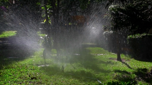 Water Sprinkler In Garden