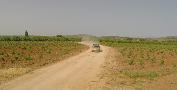 Car Among the Fields