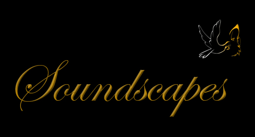 <h3>Soundscapes</h3>
