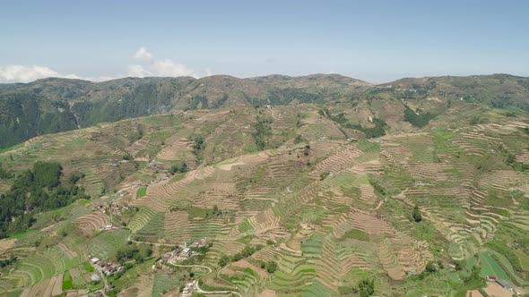 Farmland Mountain Province Philippines Luzon alt