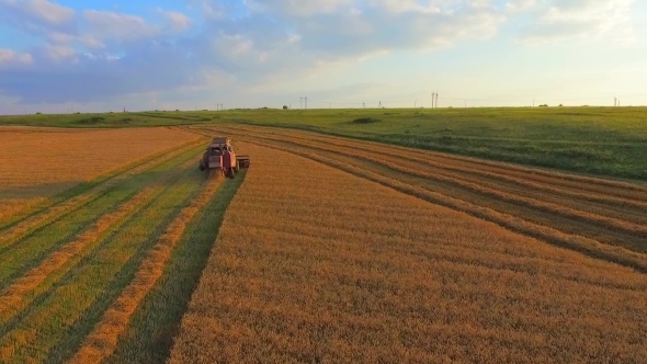 Aerial View, The Harvesting Machine Mows Wheat
