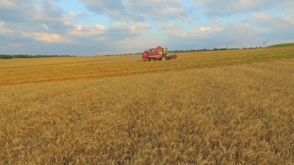 Aerial View, Combine On Harvest Field In Ukraine