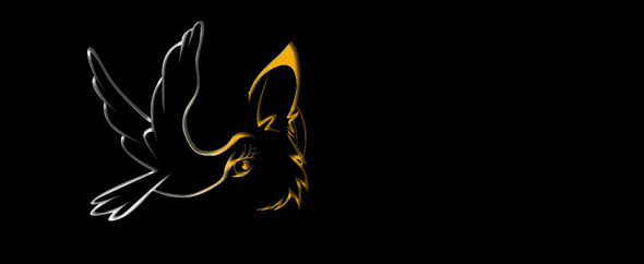 Dovefox%20logo 590x242
