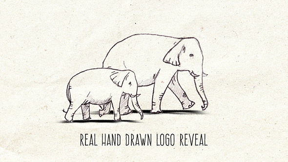 Mighty Animal Logo Reveal