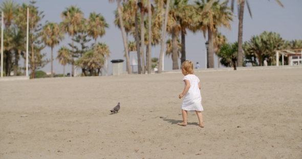 Little Girl Chasing a Seagull Little Girl Chasing a Seagull