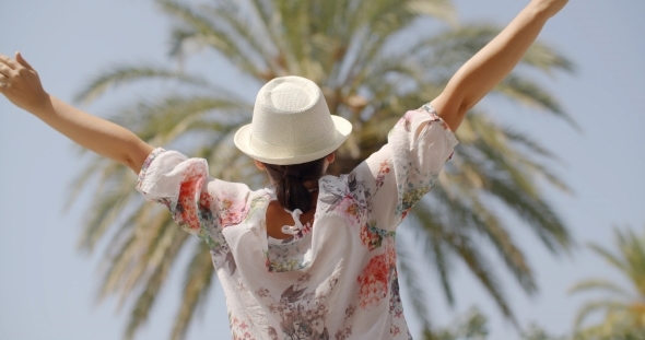 Rear View Of Woman On Palm Beach With Open Arms Rear View Of Woman On Palm Beach With Open Arms